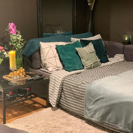2-room Flat Near Arena N Ziggo Dome, Perfect For 2 Couples * Amsterdam