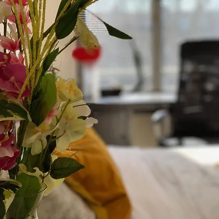 2-room Flat Near Arena N Ziggo Dome, Perfect For 2 Couples アパート アムステルダム